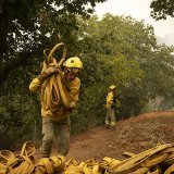Les autorités voient le bout du tunnel sur le front des incendies à Tenerife.